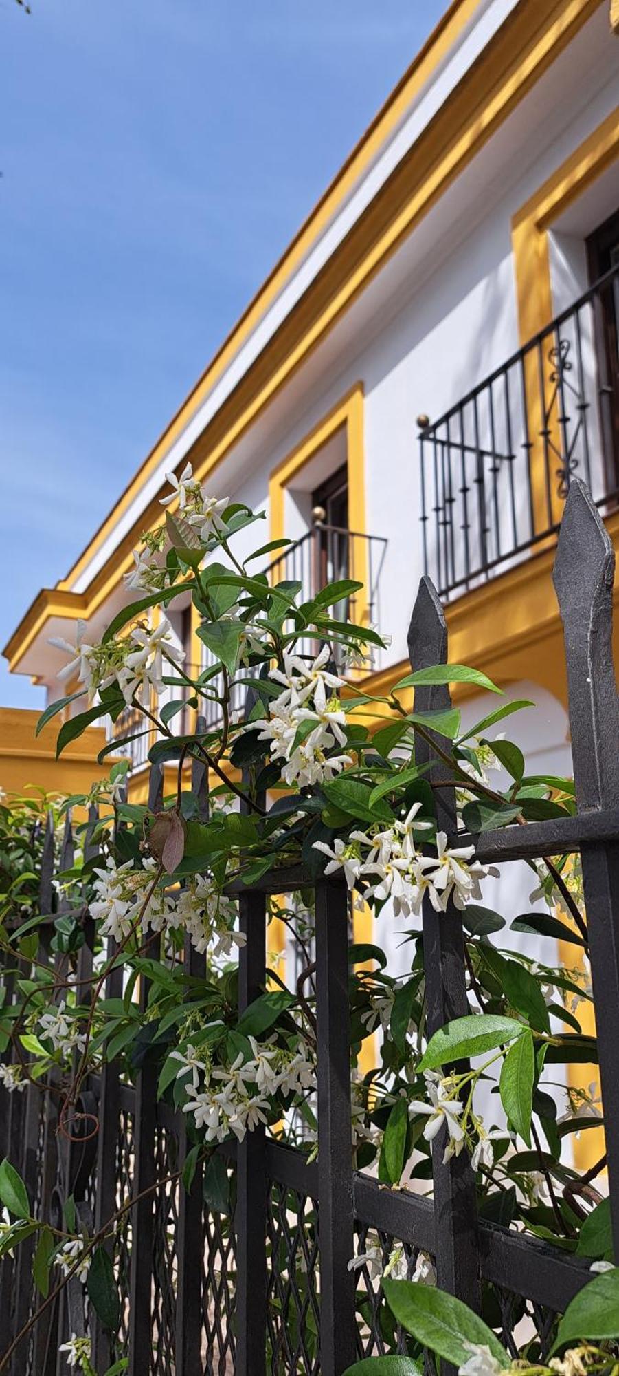 Villa Marcel Jerez de la Frontera Kültér fotó